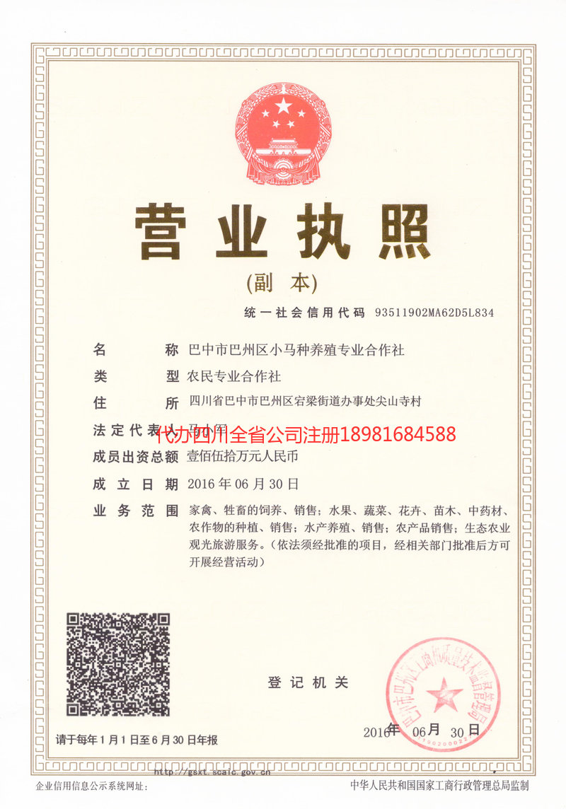 铁力铁力小马种养殖专业合作社